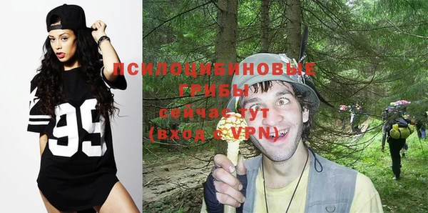 метамфетамин Белокуриха