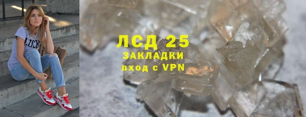 шишки Белоозёрский