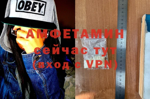 шишки Белоозёрский