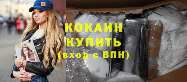 шишки Белоозёрский