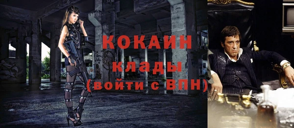 шишки Белоозёрский