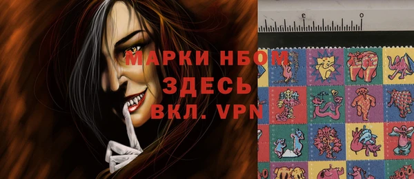 шишки Белоозёрский