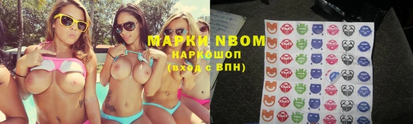 шишки Белоозёрский