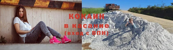 шишки Белоозёрский