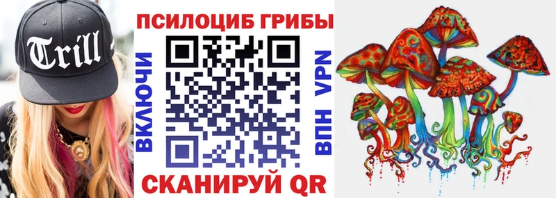 Галлюциногенные грибы Psilocybe  Купить закладки  Короча 